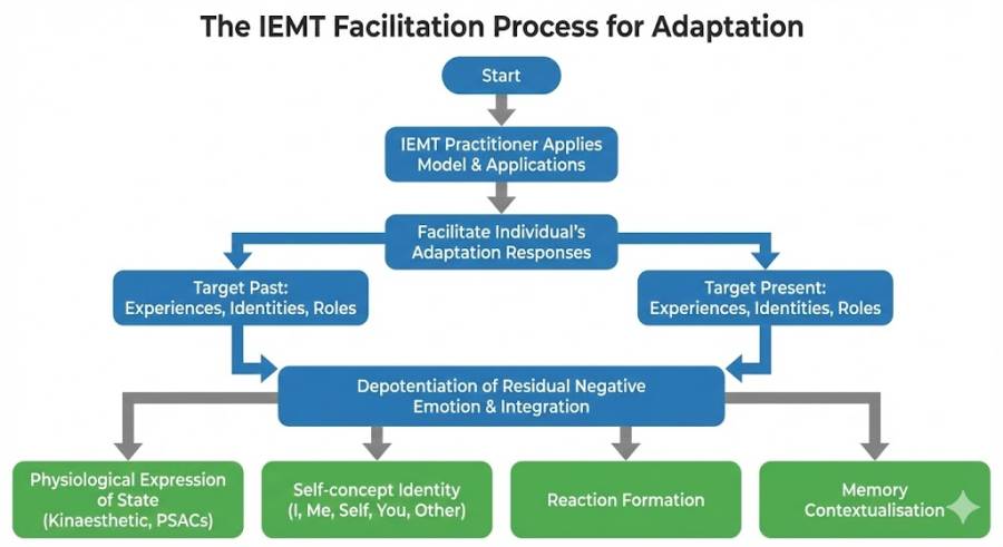 Adaptation and facilitation model