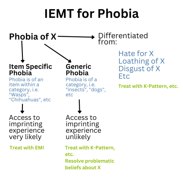 iemt_for_phobia.png iemt_for_phobia.png