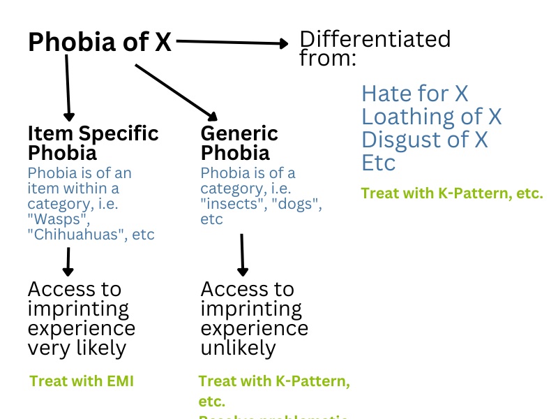 iemt_for_phobia.png