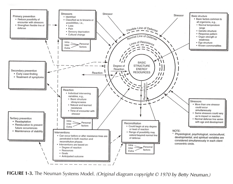 The Neuman Systems Model of Nursing The Neuman Systems Model of Nursing