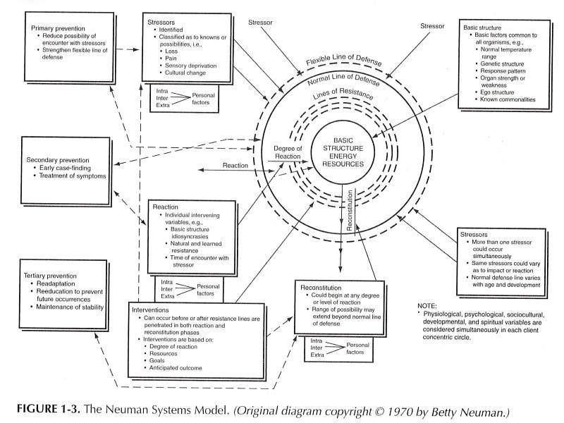 neuman_s_systems_model.jpg neuman_s_systems_model.jpg