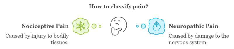 pain-classification.png pain-classification.png